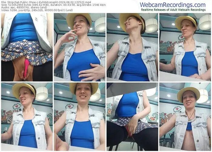 2024/08/02/stripchat-exhibitionsplit-12-25-22