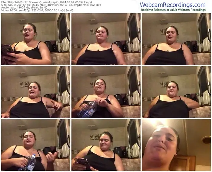 2024/08/02/stripchat-queendixiepig-00-59-49