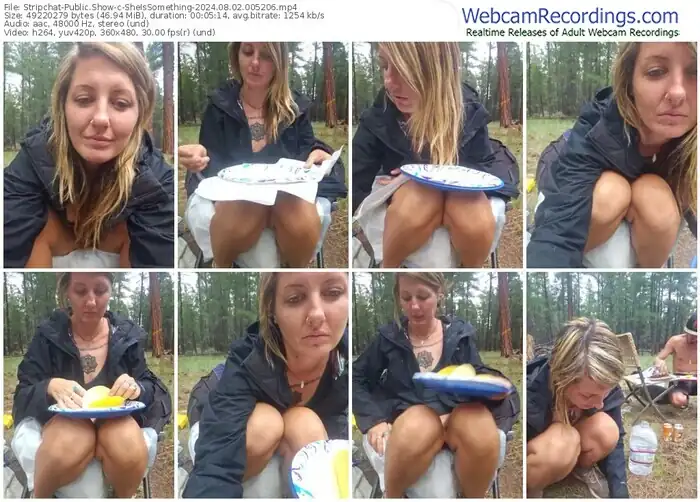 2024/08/02/stripchat-sheissomething-00-52-06