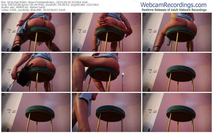 2024/08/02/stripchat-hereandnows_-02-29-24