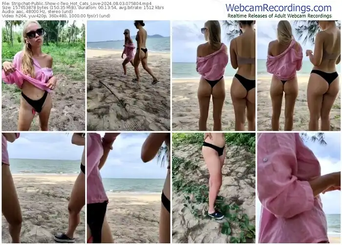 2024/08/03/stripchat-two_hot_cats_love-07-58-04