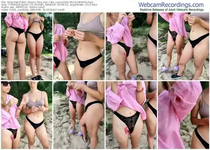 2024/08/03/stripchat-two_hot_cats_love-08-44-50