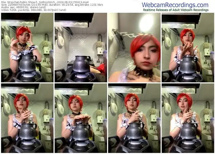 2024/08/03/stripchat-_gothiccbitch_-15-59-13