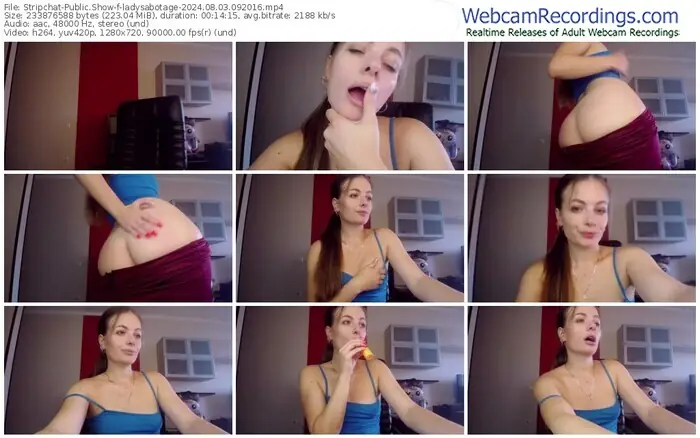 2024/08/03/stripchat-ladysabotage-09-20-16