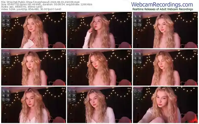 2024/08/03/stripchat-morphesoull-23-23-39