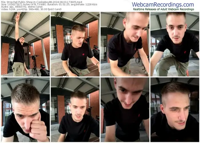 2024/08/03/stripchat-cookieboy88-17-39-05