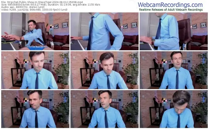 2024/08/03/stripchat-stevetiger-13-56-58