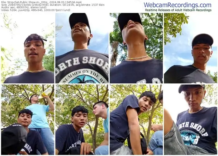 2024/08/03/stripchat-_ottis_-19-45-34