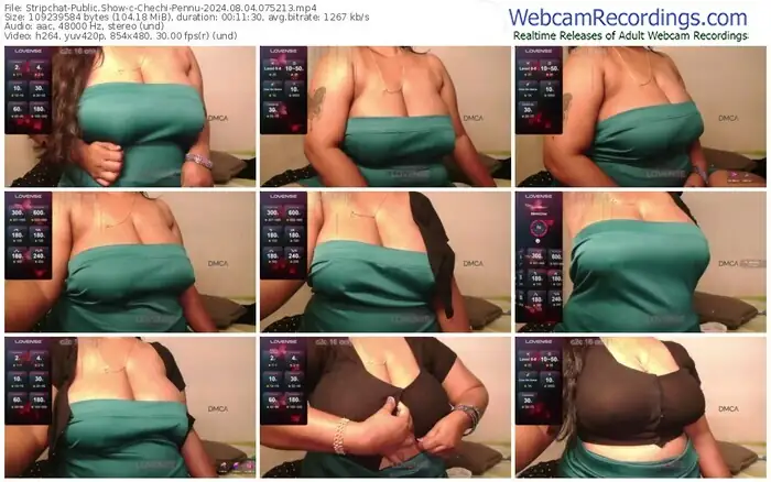 2024/08/04/stripchat-chechi-pennu-07-52-13
