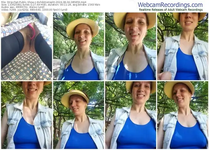 2024/08/04/stripchat-exhibitionsplit-08-58-59