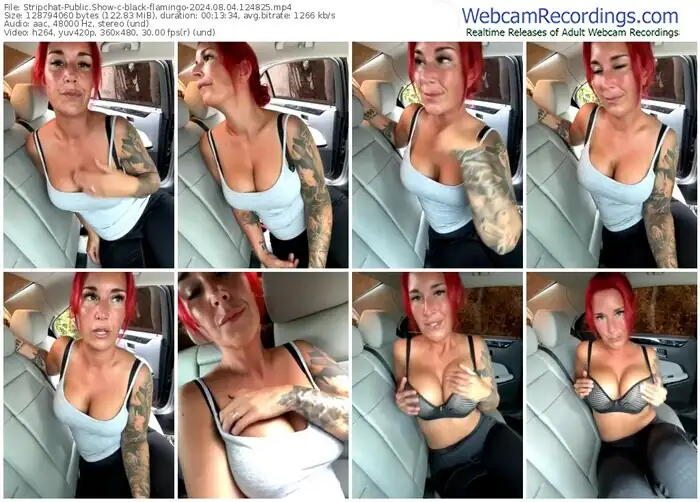 2024/08/04/stripchat-black-flamingo-12-48-25