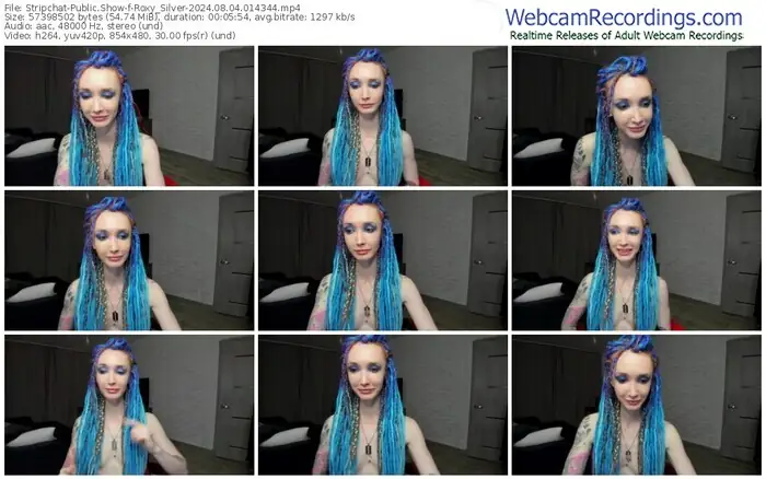 2024/08/04/stripchat-roxy_silver-01-43-44