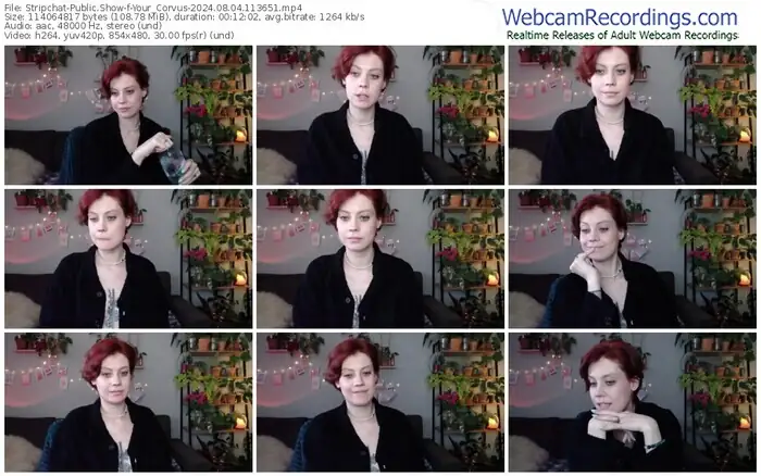 2024/08/04/stripchat-your_corvus-11-36-51