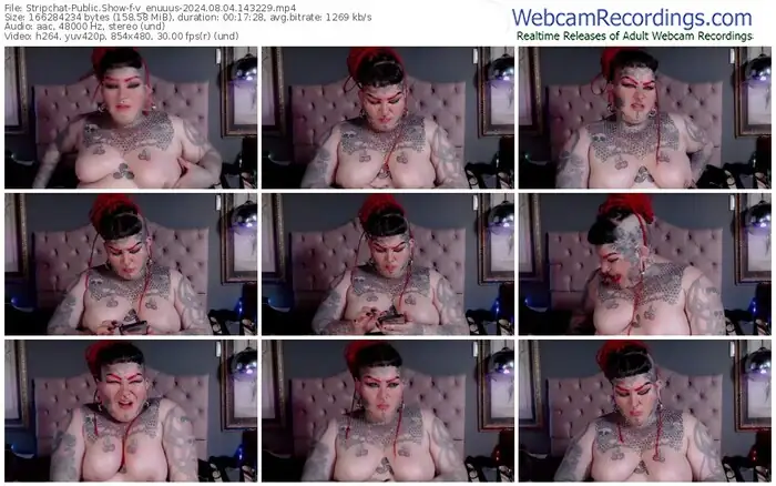 2024/08/04/stripchat-v_enuuus-14-32-29
