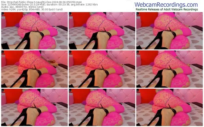 2024/08/04/stripchat-naughtycleo-05-03-50