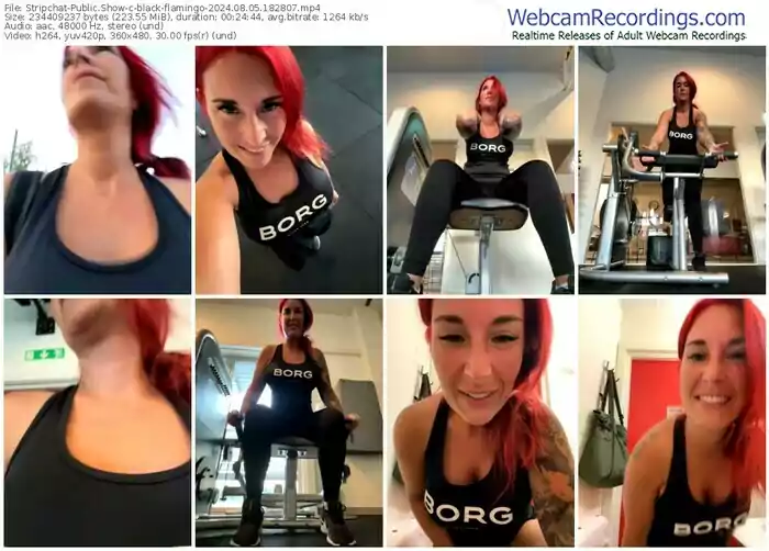 2024/08/05/stripchat-black-flamingo-18-28-07