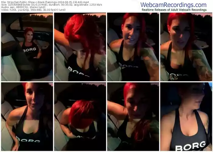 2024/08/05/stripchat-black-flamingo-19-14-43