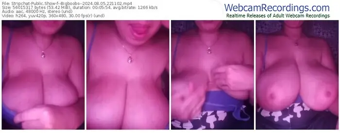 2024/08/05/stripchat--bigboobs--22-11-02