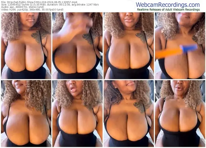 2024/08/05/stripchat-mill204-13-28-57