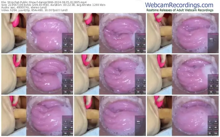 2024/08/05/stripchat-danigirl866-01-28-35
