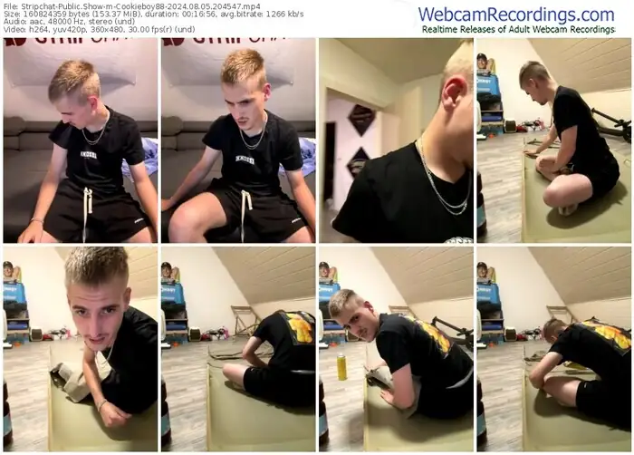 2024/08/05/stripchat-cookieboy88-20-45-47