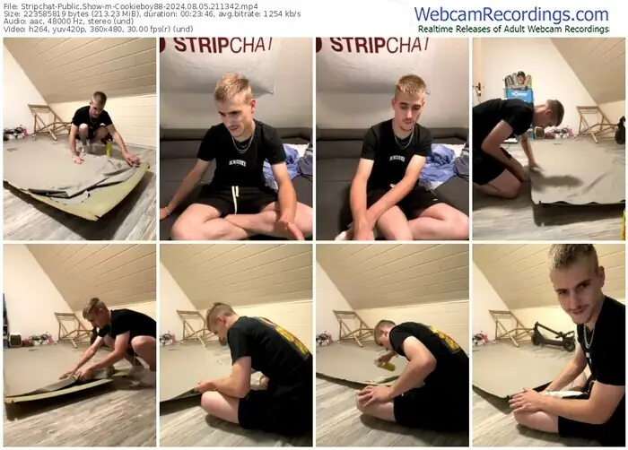 2024/08/05/stripchat-cookieboy88-21-13-42