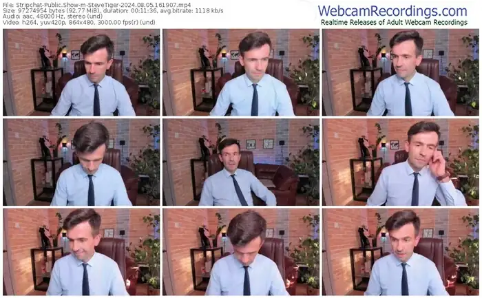 2024/08/05/stripchat-stevetiger-16-19-07