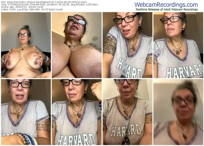 2024/08/06/stripchat-dieseldame1313-06-51-52