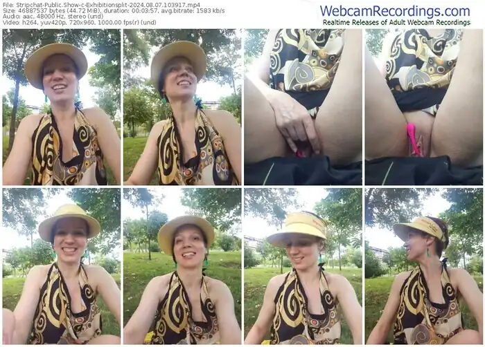 2024/08/07/stripchat-exhibitionsplit-10-39-17