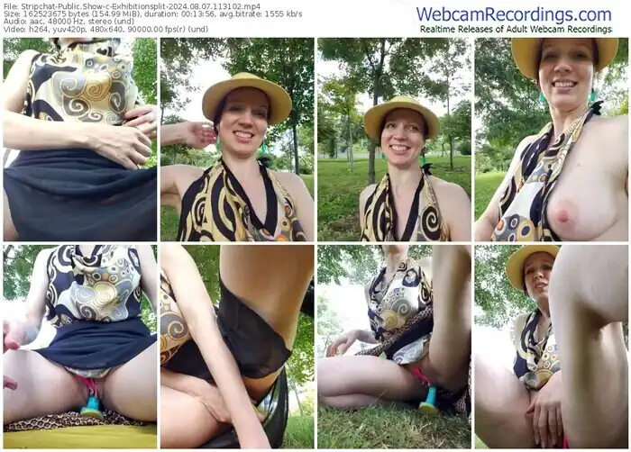 2024/08/07/stripchat-exhibitionsplit-11-31-02