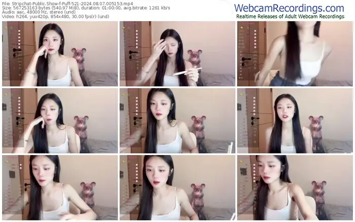 2024/08/07/stripchat-puff-521-00-51-53