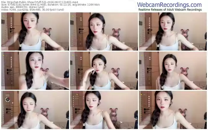 2024/08/07/stripchat-puff-521-13-18-01