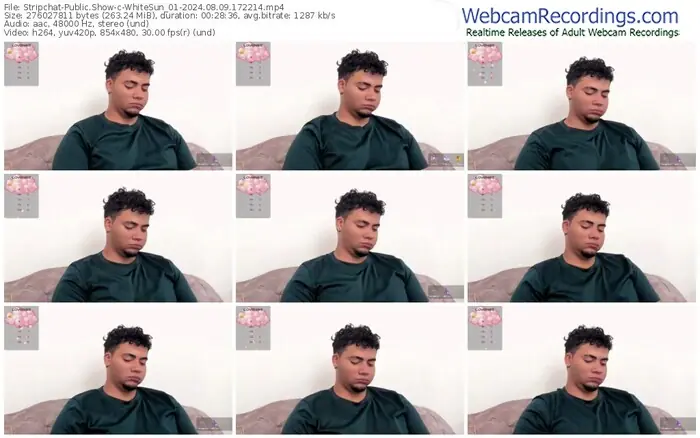 2024/08/09/stripchat-whitesun_01-17-22-14