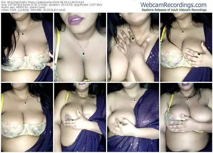 2024/08/09/stripchat-babesneha-11-26-24