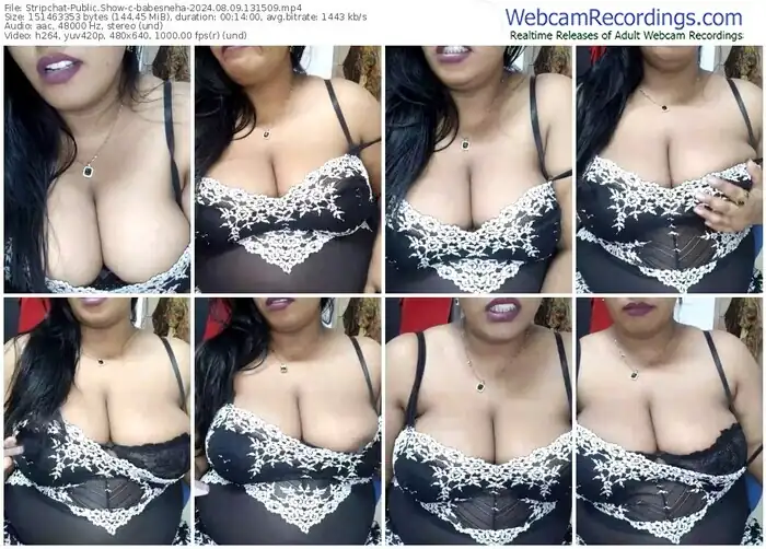 2024/08/09/stripchat-babesneha-13-15-09