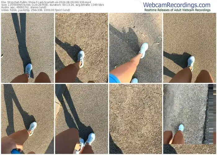 2024/08/09/stripchat-ladyscarlett-xk-06-13-39