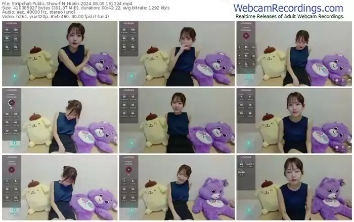 2024/08/09/stripchat-n_hibiki-16-13-24