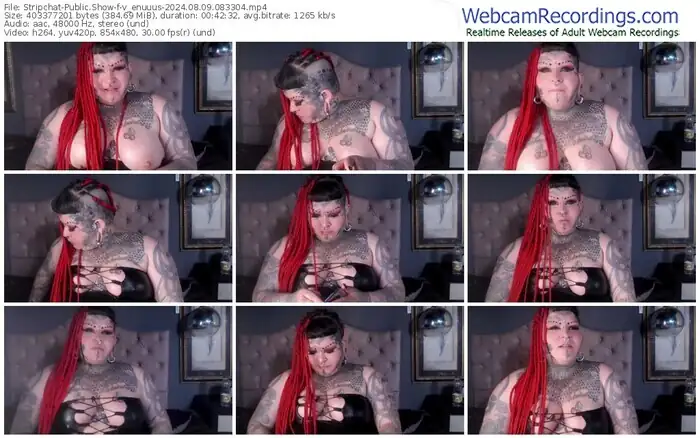 2024/08/09/stripchat-v_enuuus-08-33-04