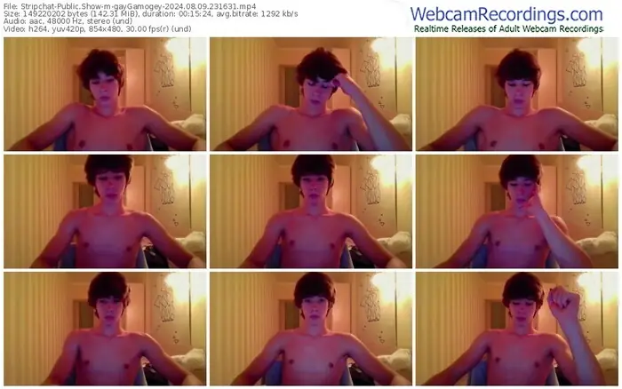 2024/08/09/stripchat-gaygamogey-23-16-31