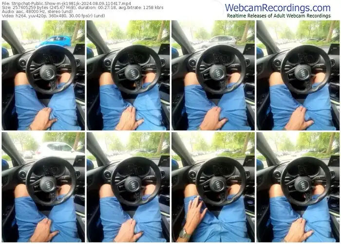 2024/08/09/stripchat-jk1981jk-11-04-17