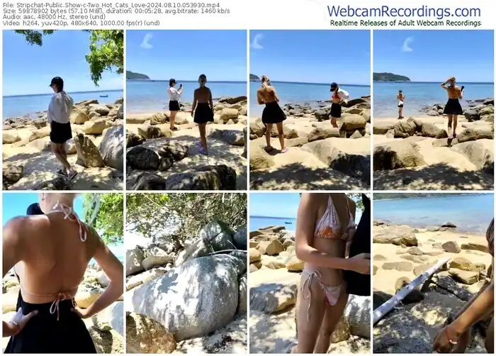 2024/08/10/stripchat-two_hot_cats_love-05-39-30
