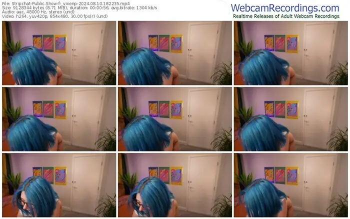 2024/08/10/stripchat-_vixenp-18-22-35