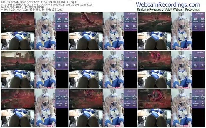 2024/08/10/stripchat-z23002-16-41-11