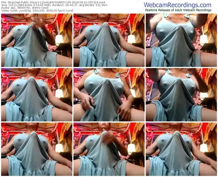 2024/08/10/stripchat-12inalwayshardcum-02-53-24