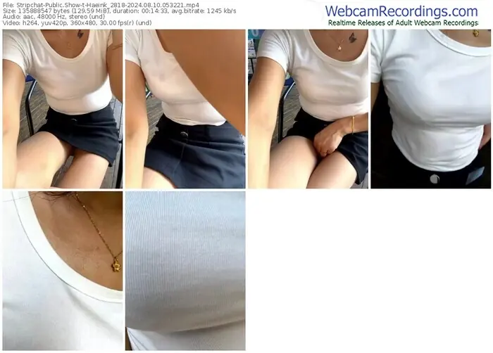 2024/08/10/stripchat-haeink_2818-05-32-21