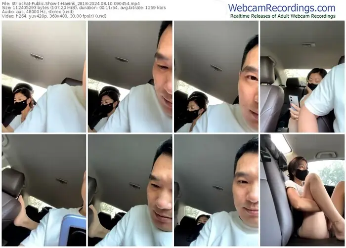 2024/08/10/stripchat-haeink_2818-09-04-54