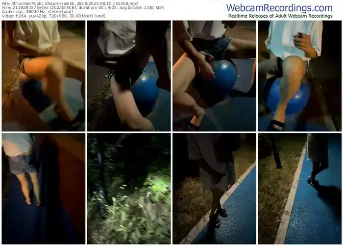 2024/08/10/stripchat-haeink_2818-13-10-58