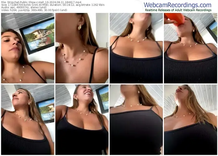 2024/08/11/stripchat-hall_16-18-46-17