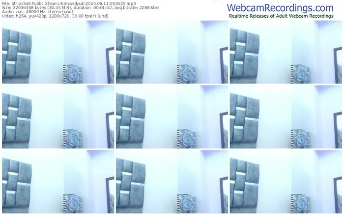 2024/08/11/stripchat-kimandyuk-05-35-25