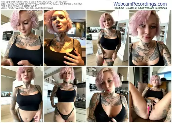2024/08/11/stripchat-stella-kink-11-44-33